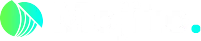 Portfolio 02